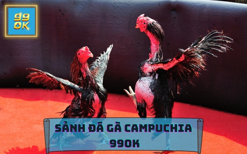 ĐÁ GÀ CAMPUCHIA TẠI 99OK CASINO